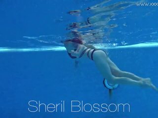 Sheril blossom marvellous rusinje pod vodo, hd umazano posnetek bd