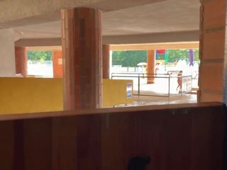 Radekos Sneaks at the Pool then Blowjob and Cum in Mouth