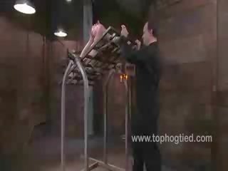 Lorelei made to semen over and over again
