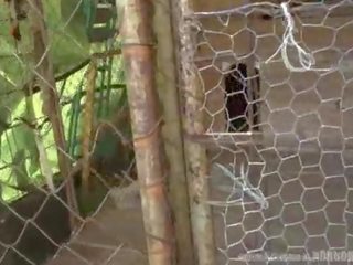 Horrorporn - banteng beast
