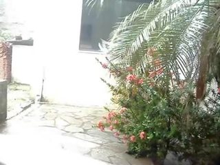 Porcas filme em o chuva