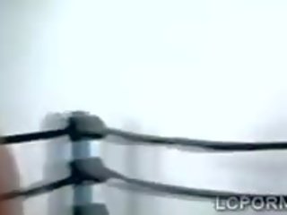 Apdullinātas spāņi boxer fights a liels kāts ar viņai extraordinary mēle