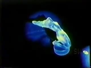 Tangerine Vintage Tease, Free Free Vintage Mobile xxx movie clip