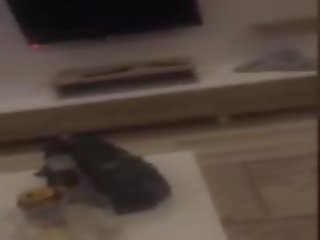 My Record: My Pornhub & My Free Pornhub xxx film vid