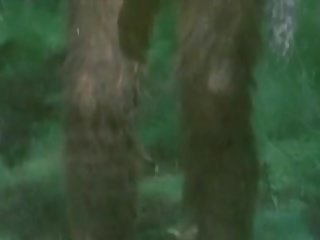 Birch 汁 bacchanalia