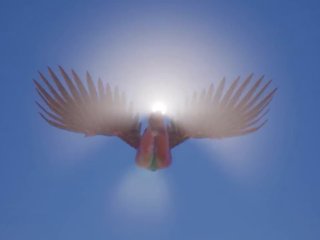 Wildlife 01: bezmaksas multene hd sekss video saspraude 88