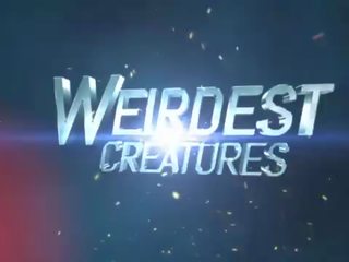 Dendrophilia fantasy&period; 3d xxx video me bishë