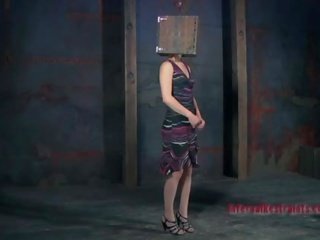 Clamped ylös hotty hankkii hänen naida reiät kidutettu