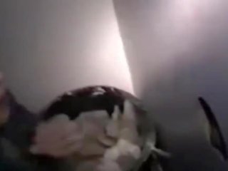 Gloryhole adventures - ii, volný domácívyrobený x jmenovitý film mov 0c