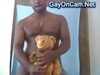 Ireng amatir and his teddy metokake