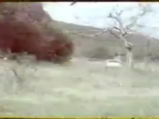 Tugay toksoz - oruspuyu vahsi siken - zerrin egeliler