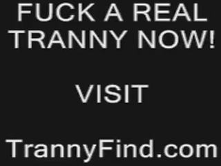 Ewropaly transvestites