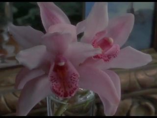 Wild orchidee erwachsene film szenen 1989, kostenlos berühmtheit hd sex 0f