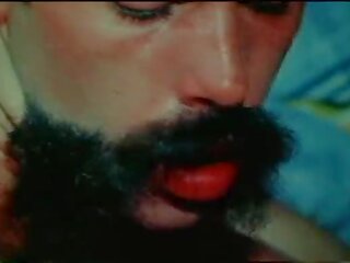 VCA Gay - Celebration - scene 2