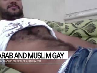 Matainas, uzbudinātas, provokatīvs syrian