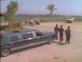 Buck adams classici: gratis canale classici hd xxx clip clip 7b