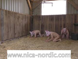 Little insight to my pigplay, free little xxx dhuwur definisi xxx film c9