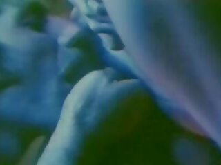 Island: xnnx tüb & xnxxx mugt sikiş video movie 68