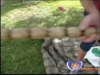 Milfs penetrate senza rispetto 2004 zeldzaam, seks video- bb