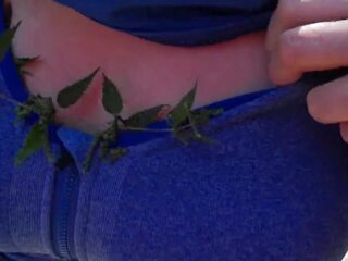 I put some nettles in my kutang and go for a walk: dhuwur definisi x rated video f9